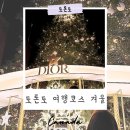 비아제5어린이공원(비아)1 | 토론토 여행코스 겨울 가볼만한 곳 추천