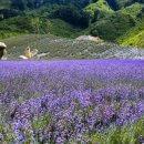 이승현농장 이미지