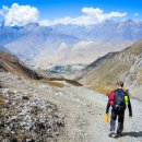 부자상황삼계탕 이미지