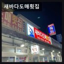 좌동재래시장 | 해운대 좌동 횟집 맛집 새바다도매횟집 푸짐한 양과 신선함이 돋보여요