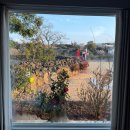 13월의아침 | [ 제주 애월 애견 동반 독채 ]13월 봄 / 2호실-가을 후기