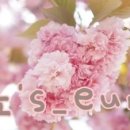 실미회식당 이미지
