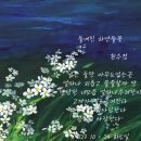 하얀들꽃