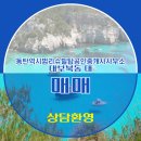 동탄역시범리슈빌탑공인중개사사무소 이미지