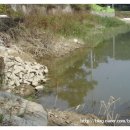 아곡낚시터 이미지