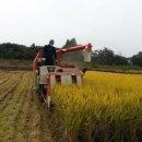 호원농장 이미지