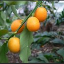 다솔공인중개사사무소 이미지