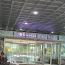 서구 어린이들과 함께하는 「뽀로로와 친구들의 드림콘서트」 | 2024 뽀로로와 친구들 드림콘서트