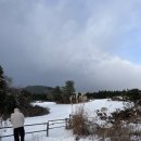 금성목장 이미지