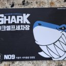 샤크셀프세차장