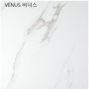 비앙코풀펜션