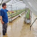 김종성 농장 이미지