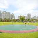 운정체육공원 축구장 이미지