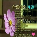 동이비어 이미지