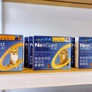 전대동물약국 이미지