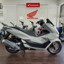 2026년(혼다코리아) PCX125 ABS 그레이 신차 선착순 할인 프로모션 진행중 이미지