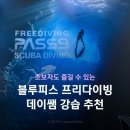 데이 - 계양구 계산로111번길 5 | 대구 경북 블루피스 프리다이빙 데이쌤 후기🤿