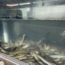 숙등추어탕 이미지