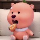 섬타르 서울숲 이미지