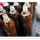 매화마을1 이미지