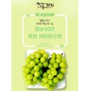 샤인마켓