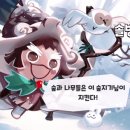 솔방울