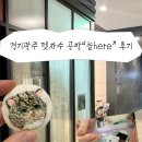 자수자격증반 | 경기광주 펫자수 원데이클래스🧶🪡 후기 ◡̈