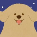 설구하우스 이미지