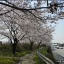 맥도생태공원 이미지