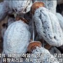 참좋은곶감