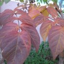 예일여자고등학교 이미지