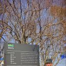 종합운동장사거리 이미지