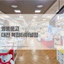 버터영풍대전 | 책 읽기 편한 영풍문고 대전 복합터미널점 방문 후기
