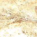 장준농장 이미지