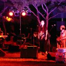 구미가 당기다 이미지