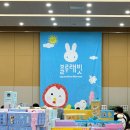 멍멍아 놀자 | 블루래빗 패밀리세일 부산 2025 주차 오픈런 후기