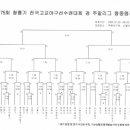 제75회청룡기전국고교야구대회겸주말리그왕중왕전대진표 이미지