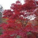 구수골농장 이미지