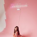 다솜플랜