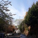 월영초등학교 이미지