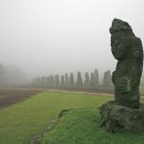 제주돌박물관 이미지