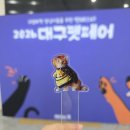 파파펫살롱 | 1월 한달 삶