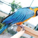 소담목장 이미지