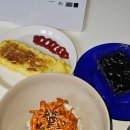 우차이 | 2025년 2월 식부림 회상하기