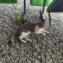 수락 농장 이미지