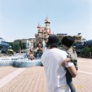 제주특별자치도청 | 후지 x하프로 찍은 25년 7월 - 11월 여행 사진, 일상 사진들 (후지x하프 사용 후기)