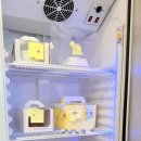핀아케이크 | 울산 달동 케이크 주문제작 케이크 맛집 핀아케이크 600일 기념 케이크 후기 🎂👶