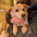 제드케어 이미지