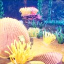 모두담다 이미지