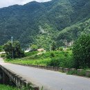 나의고향정선 가는길 ~정선시장 이미지